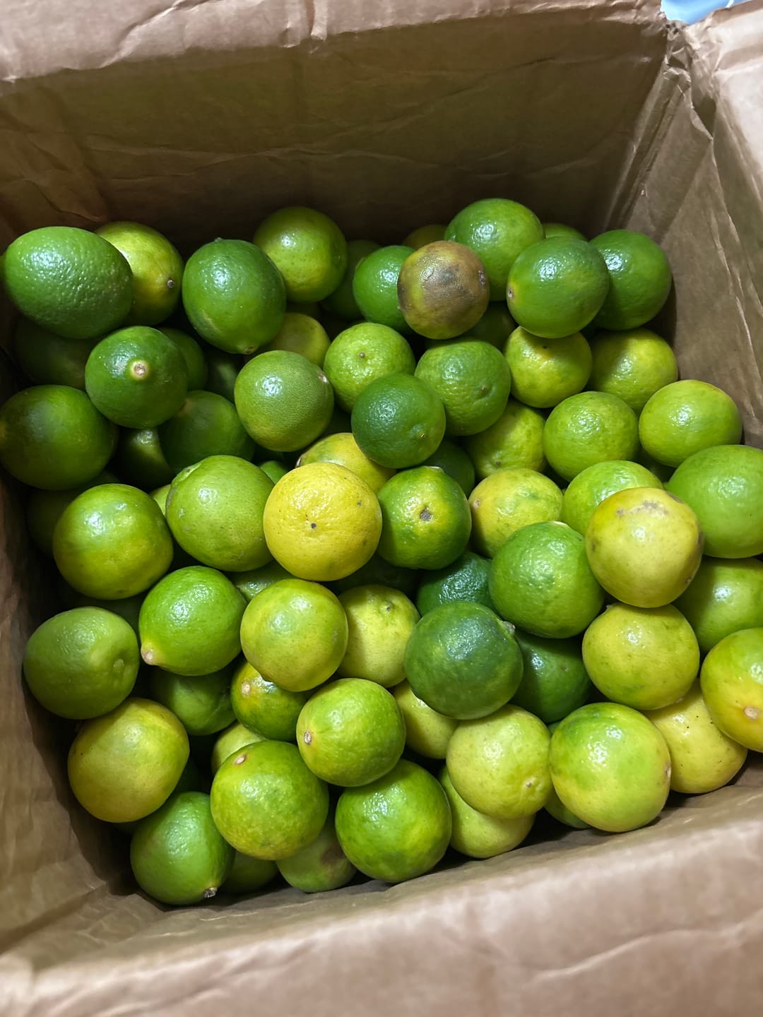 Customer photo review of Organic Key Limes 3 lbs