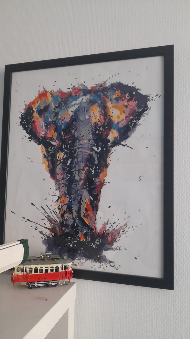 Customer photo review of Eléphant d'Asie en peinture