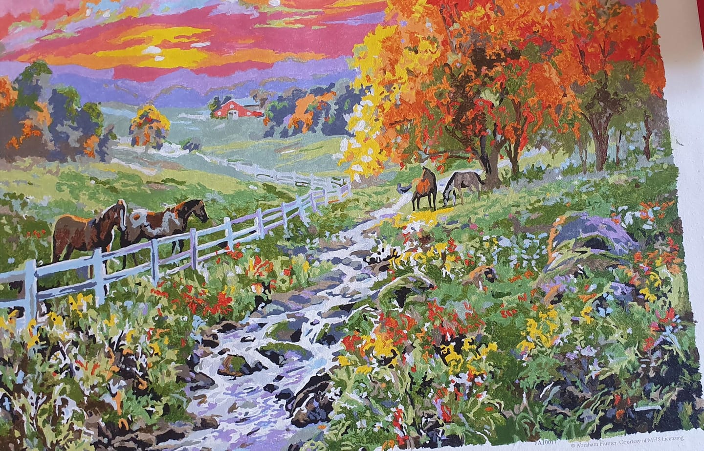 Customer photo review of Prairie ensoleillée