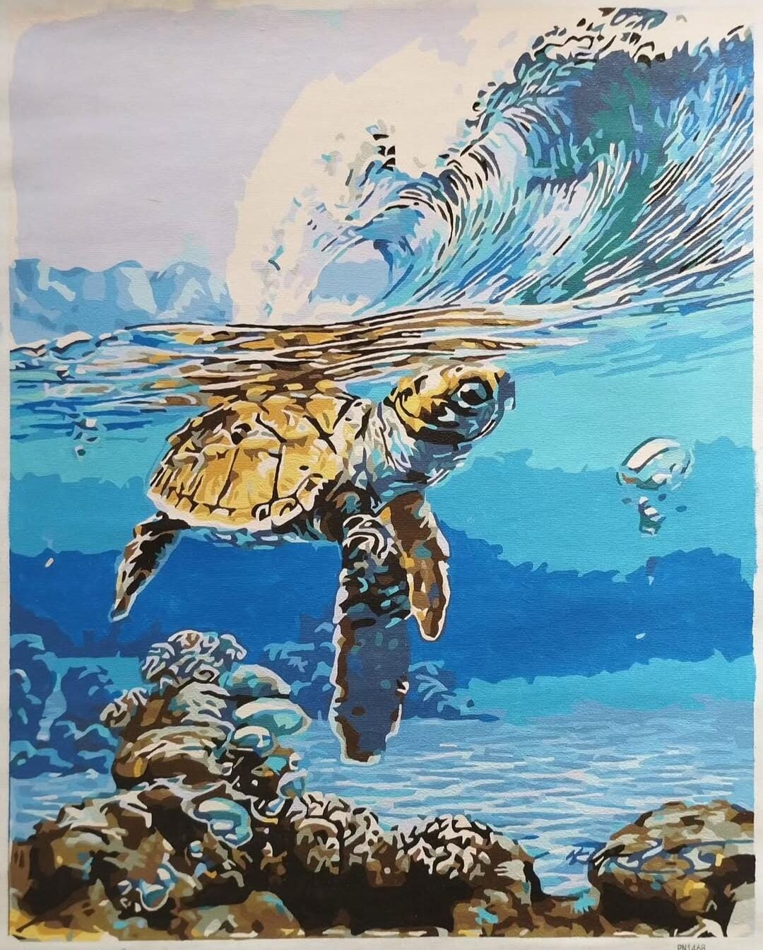 Customer photo review of Tortue marine