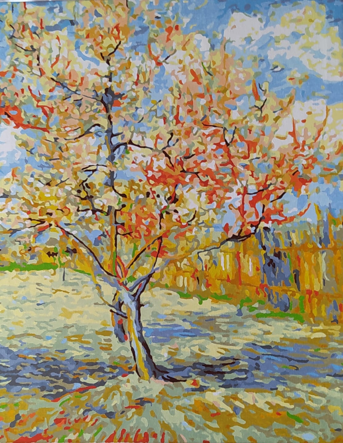 Customer photo review of Van Gogh Pêcher