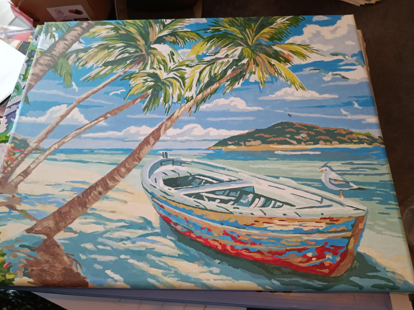 Customer photo review of Barque sous les Cocotiers