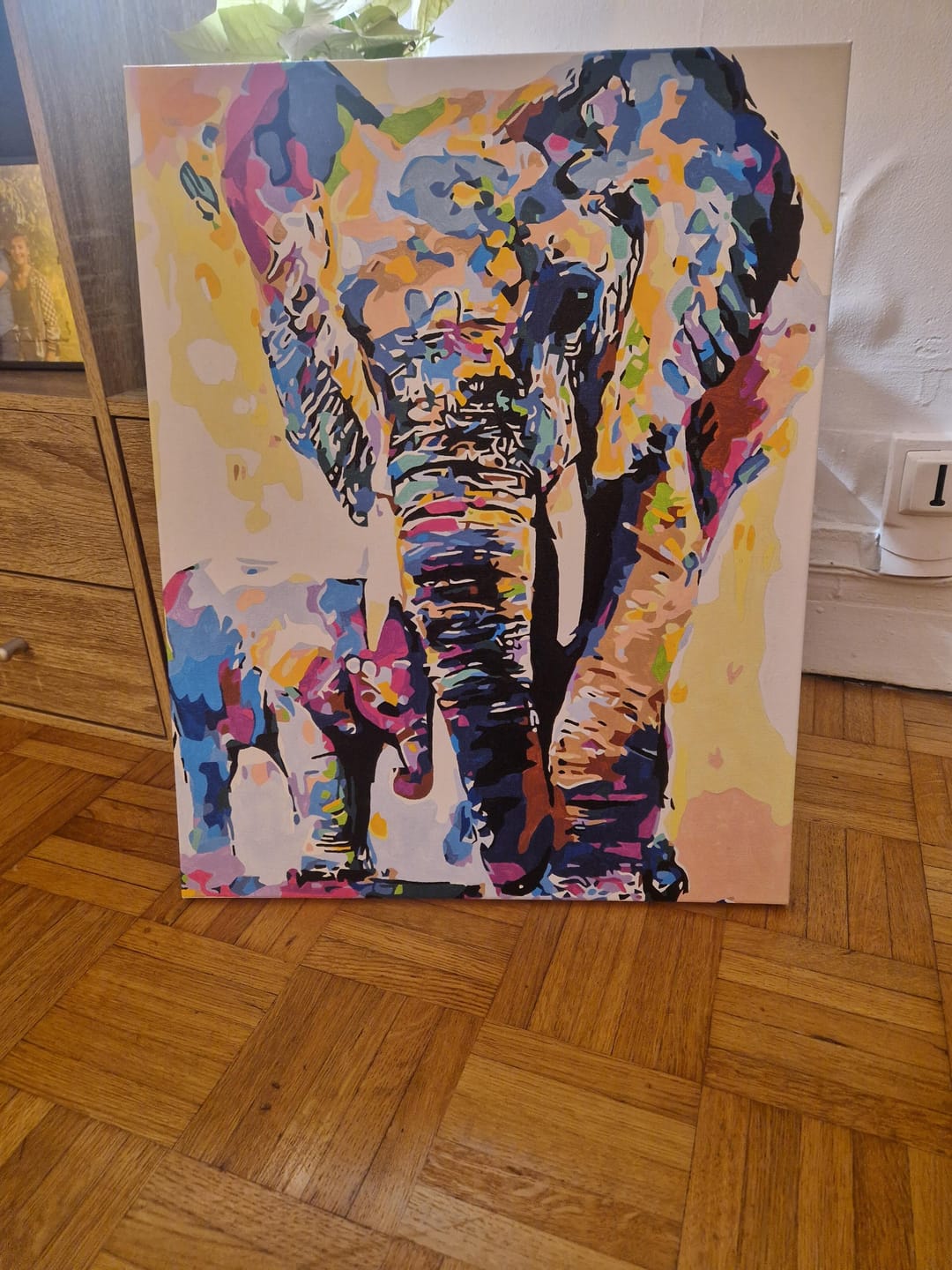 Customer photo review of Eléphants Aquarelle
