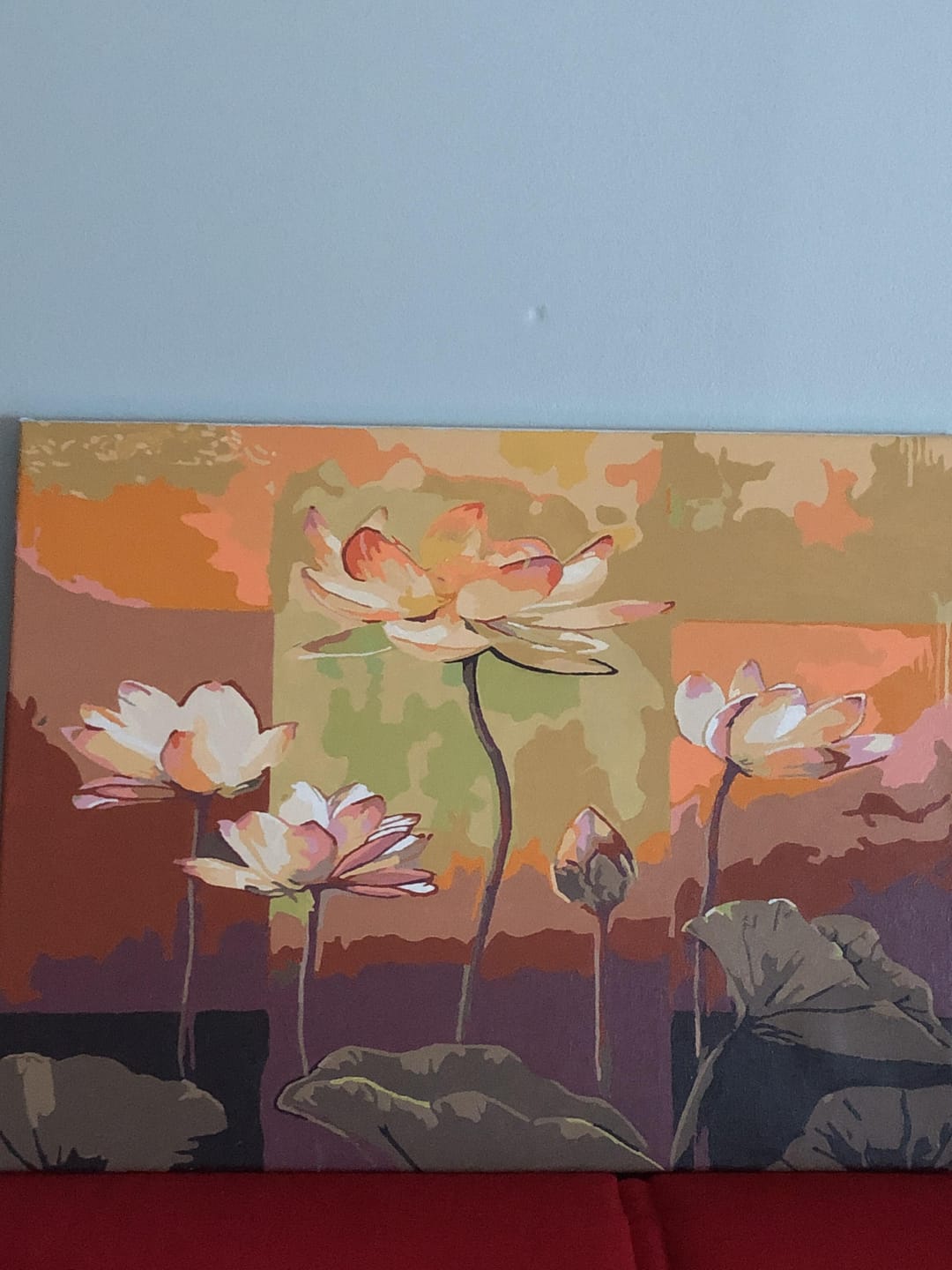 Customer photo review of Nénuphars en Fleurs