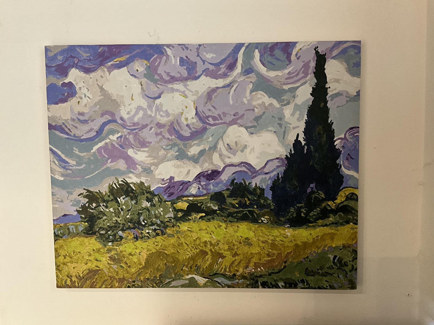 Customer photo review of Van Gogh - Ciel