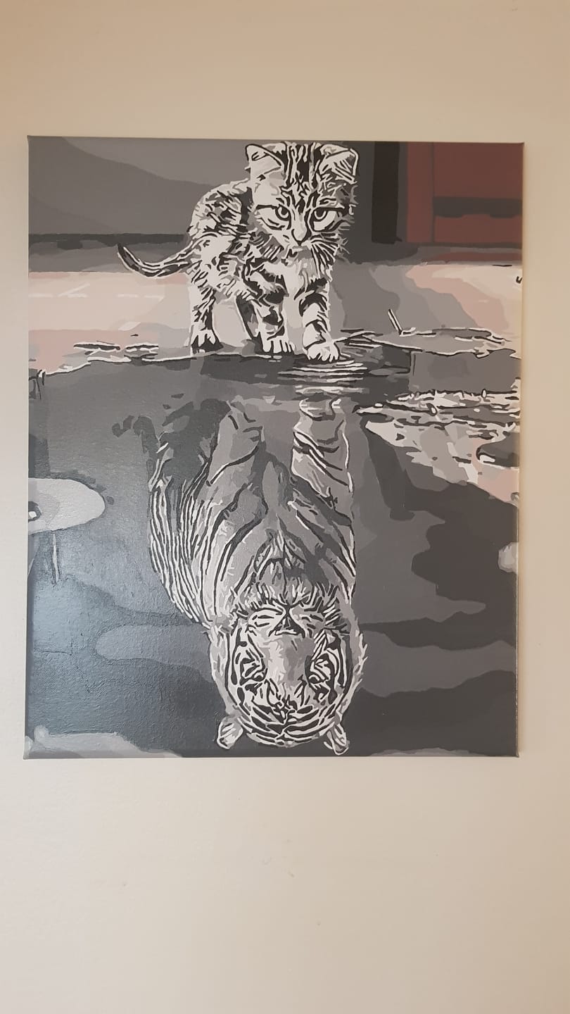 Customer photo review of Chaton Reflet Tigre