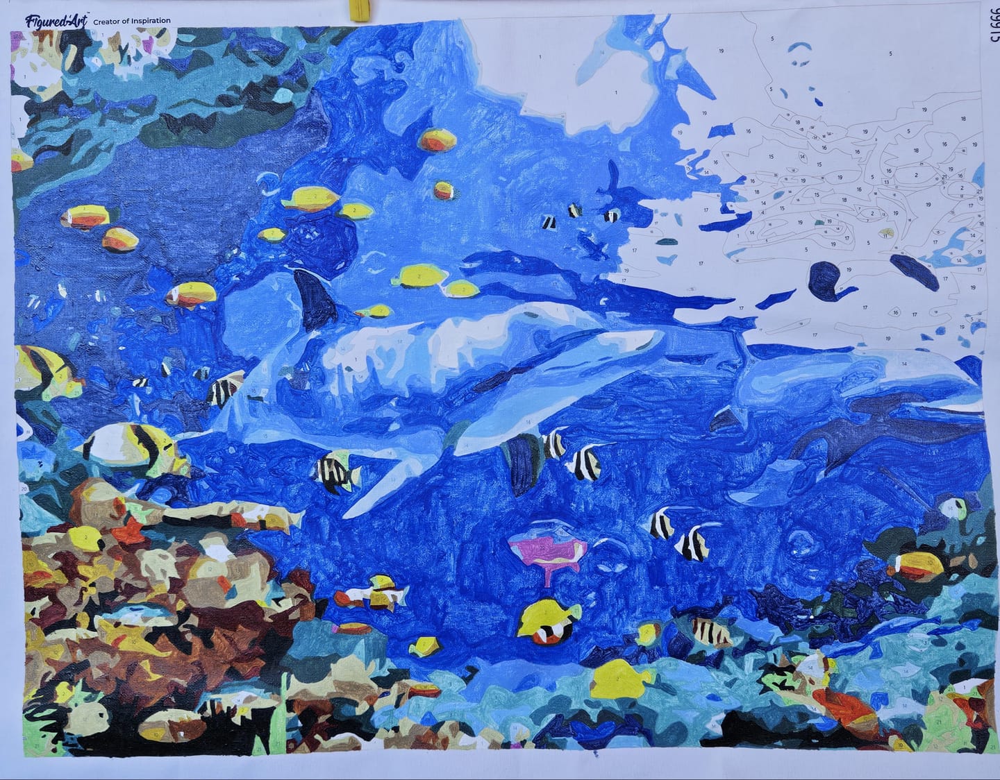 Customer photo review of Dauphins et fonds marins