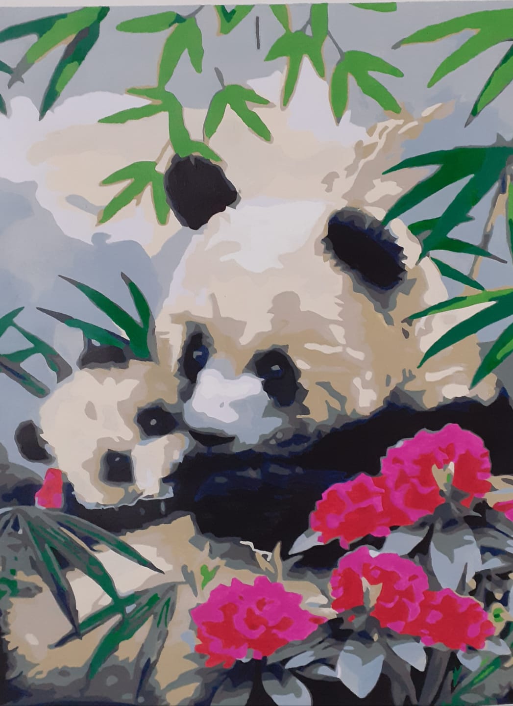 Customer photo review of Pandas Géants