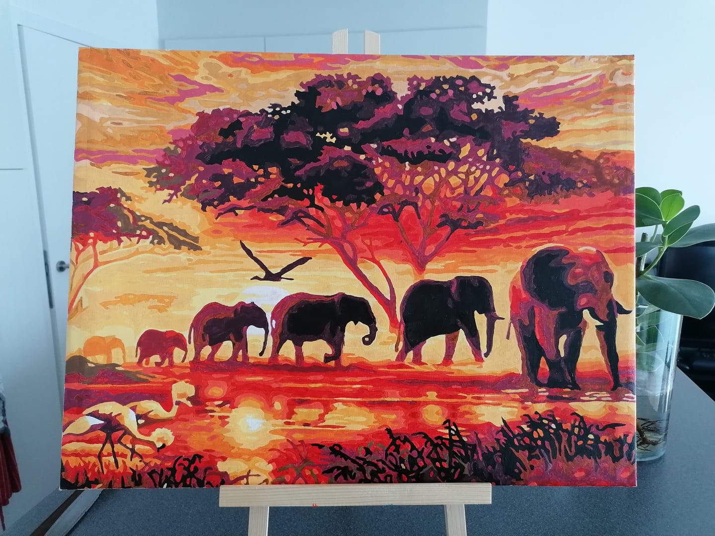 Customer photo review of Eléphants au Coucher du soleil