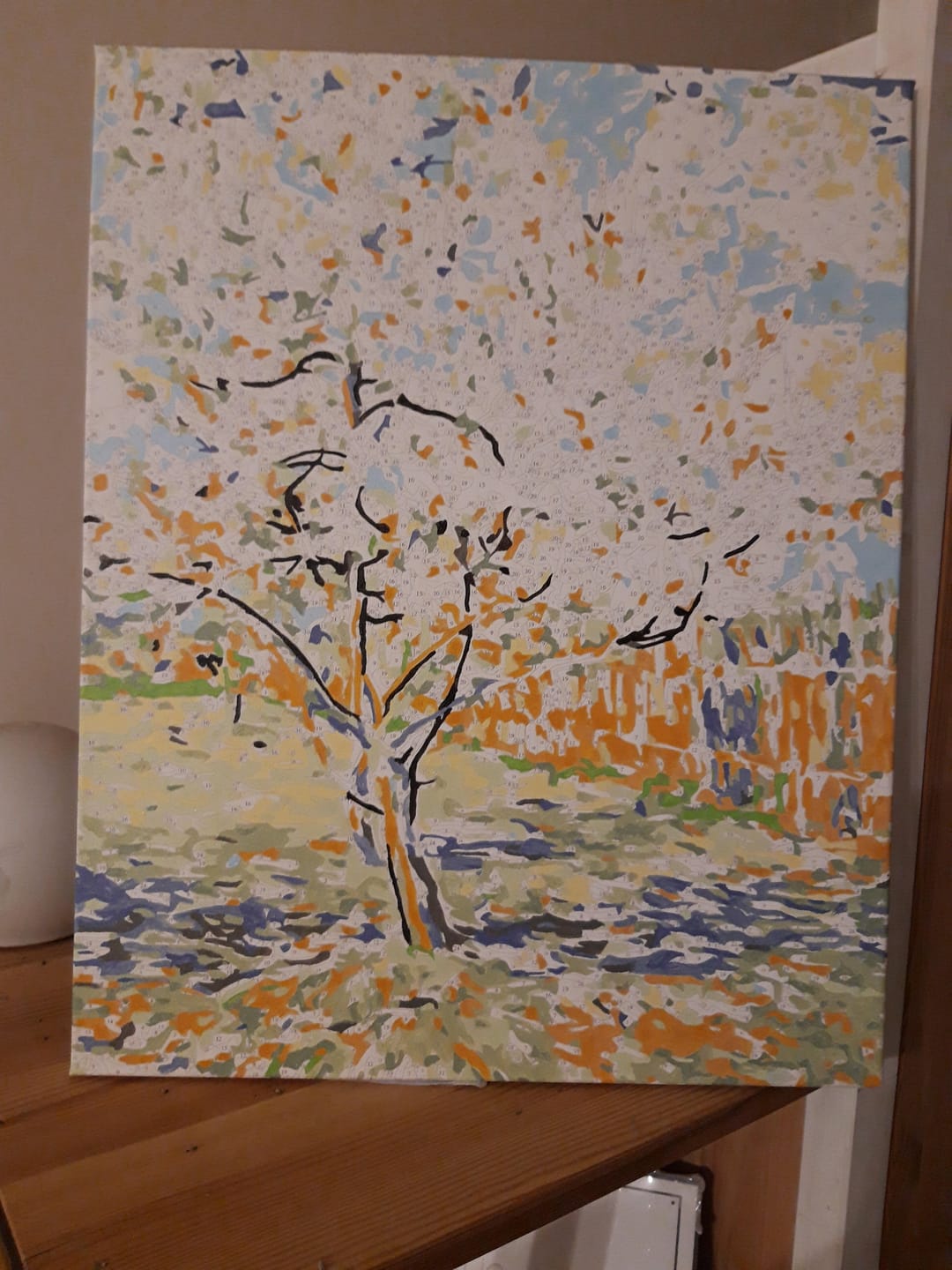 Customer photo review of Van Gogh Pêcher