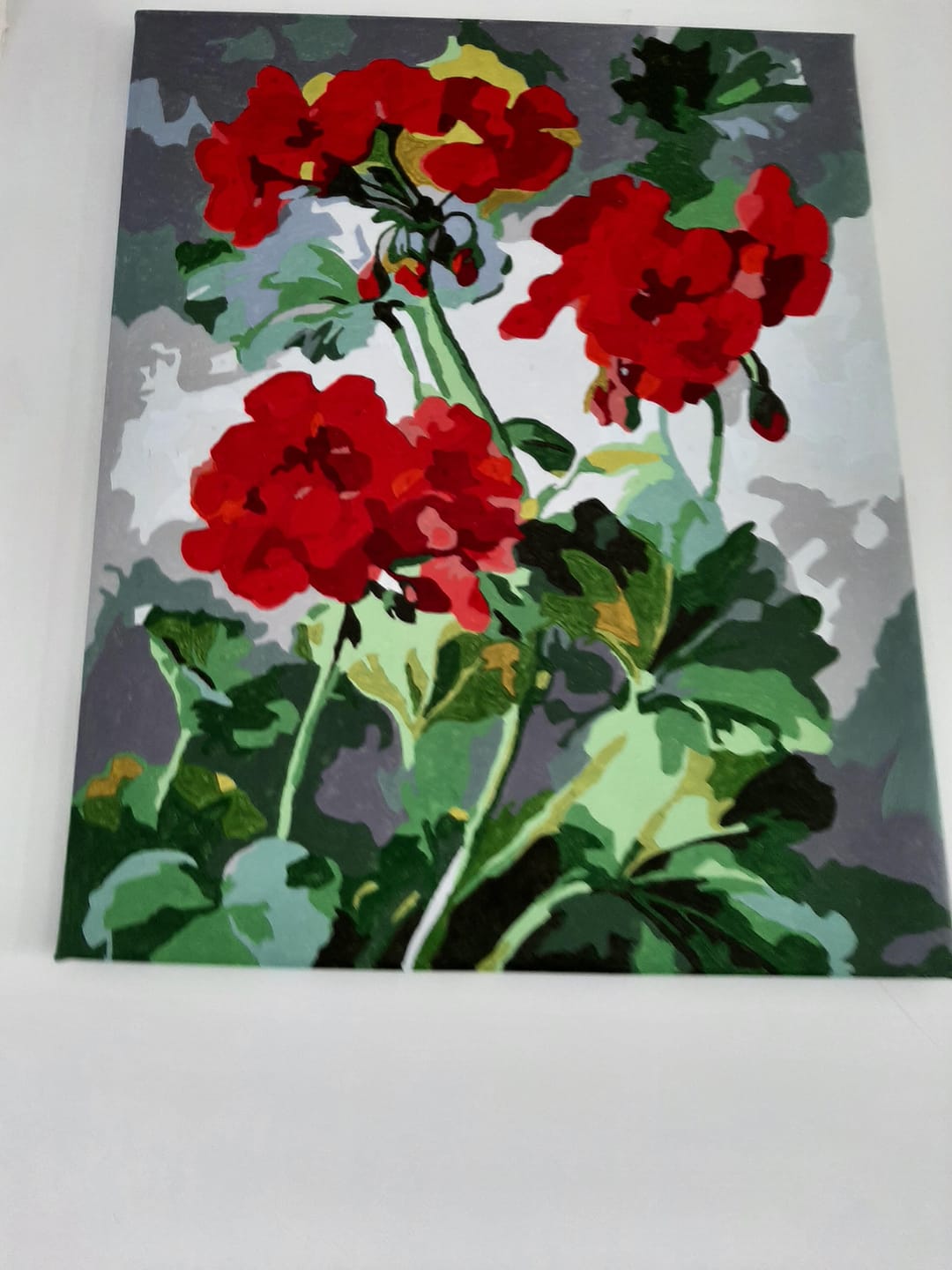 Customer photo review of Géraniums rouges