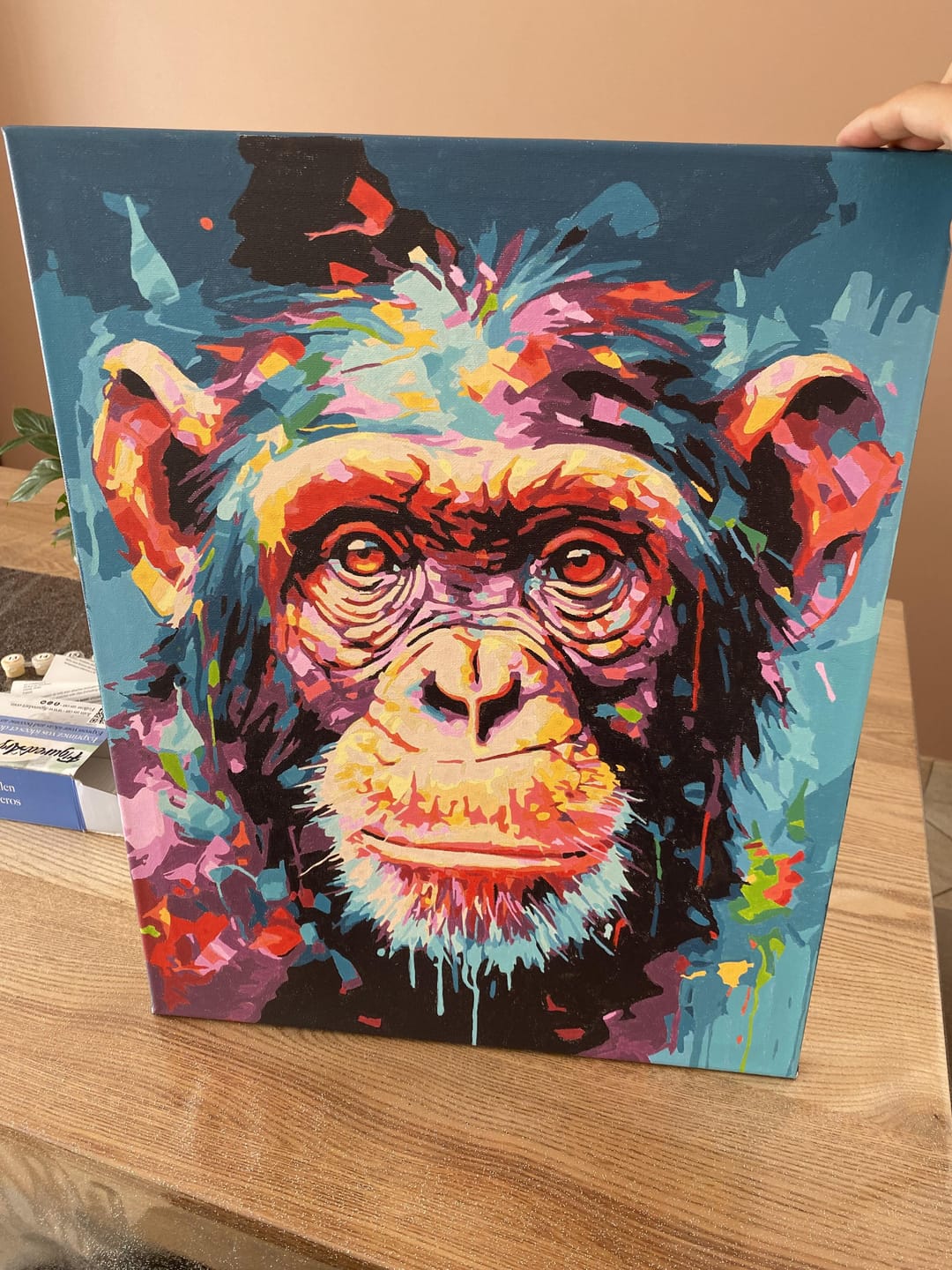 Customer photo review of Chimpanzé Coloré Abstrait
