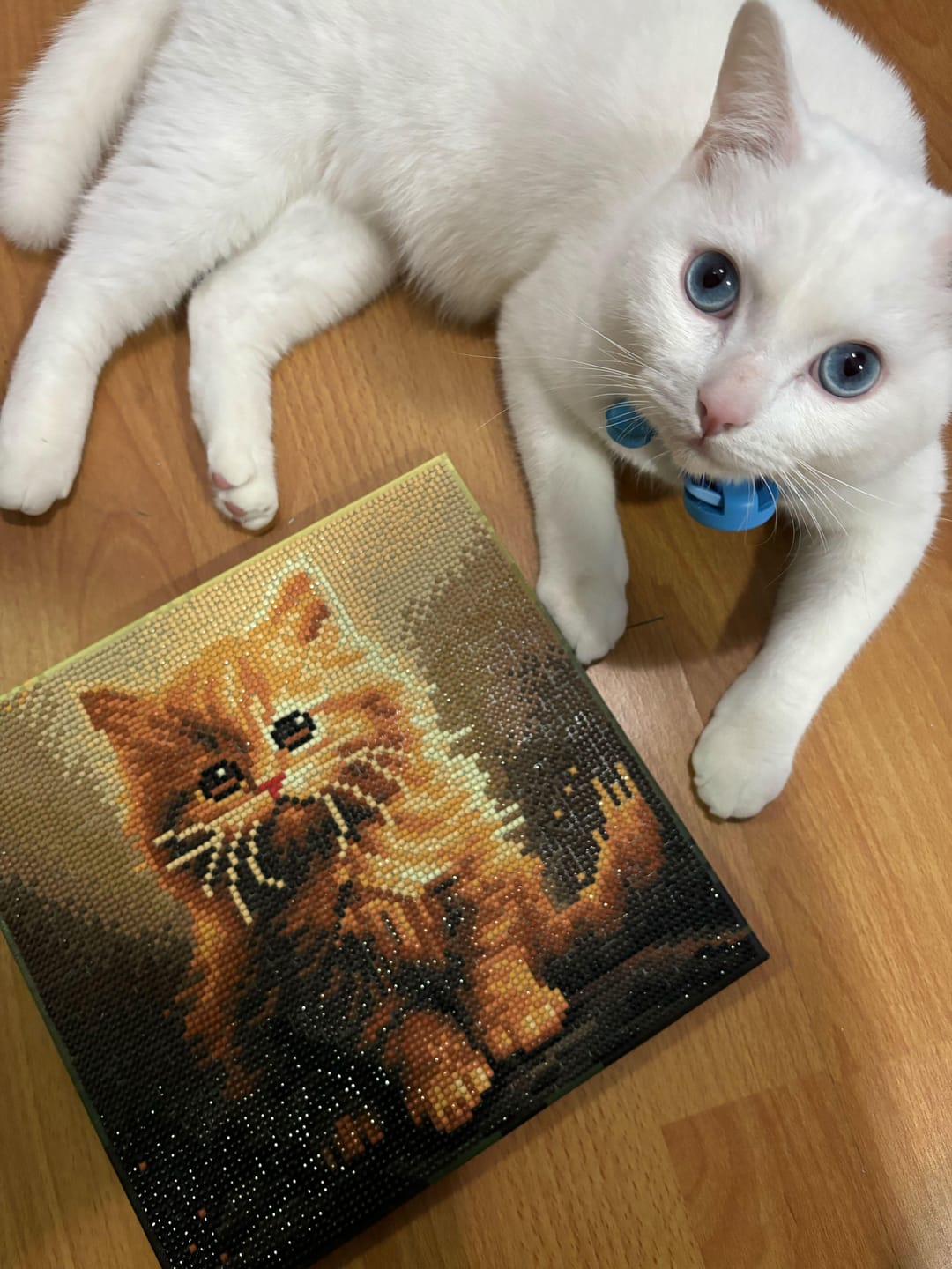 Customer photo review of Mini Diamond Painting 25x25cm - Mignon Petit Chaton Orange