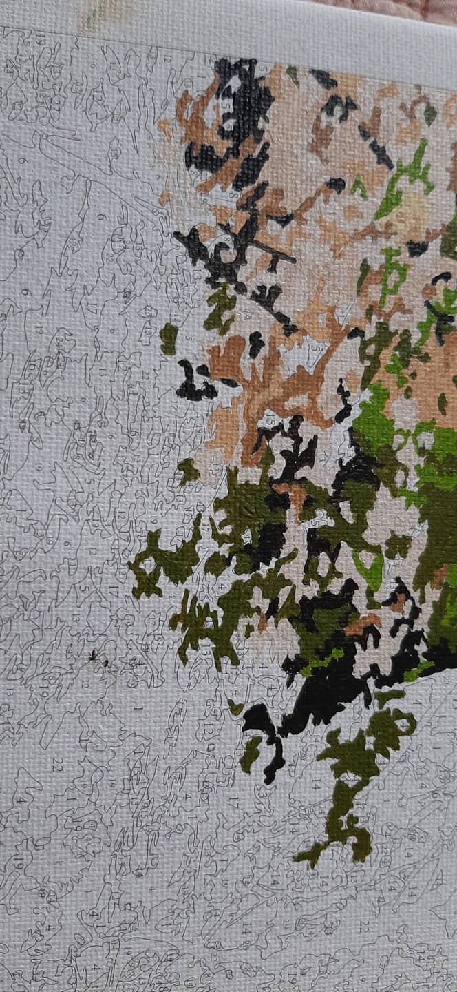 Customer photo review of Paysage de campagne