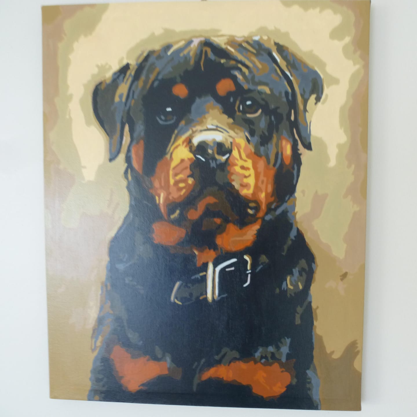 Customer photo review of Chien noir et marron