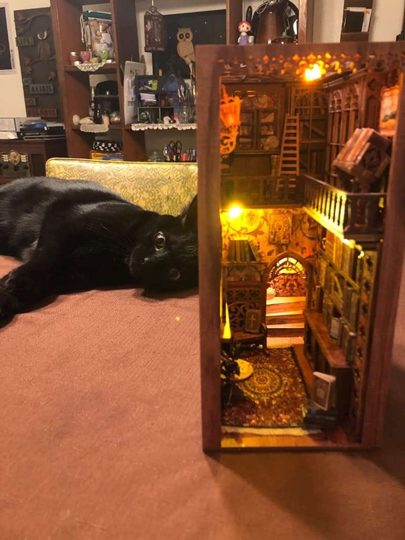 Customer photo review of Book Nook - Librairie Éternelle