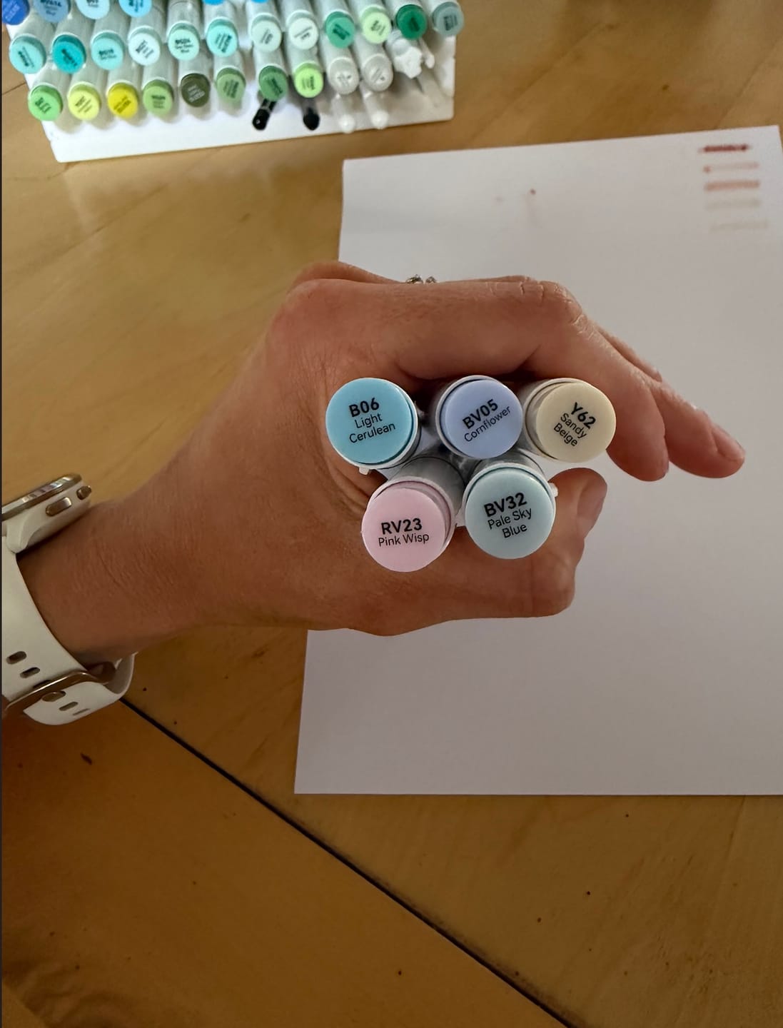 Customer photo review of Ohuhu Honolulu 48 Pastel Colors Dual Tips Alcohol Art Markers-Sweetness (New Color Codes)