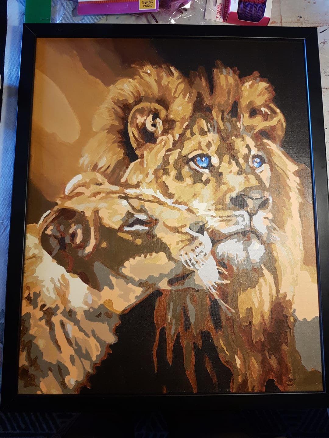 Customer photo review of Couple Lion et Lionne