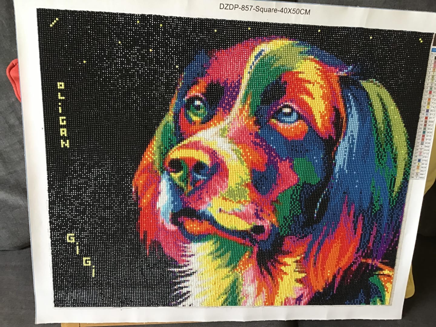 Customer photo review of Broderie Diamant - Chien Pop Art