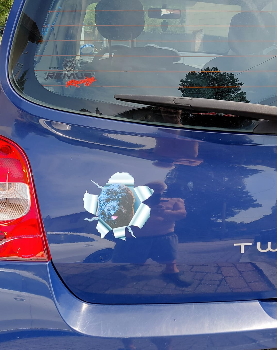 Customer photo review of Personalisierter Autoaufkleber - Spähendes Foto