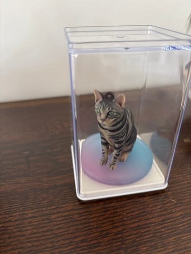 Customer showing a cat ornament safely enclosed in the Dust-Proof Acrylic Display Case.