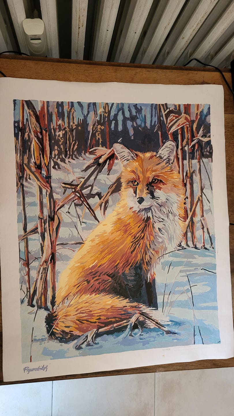 Customer photo review of Renard dans la Neige