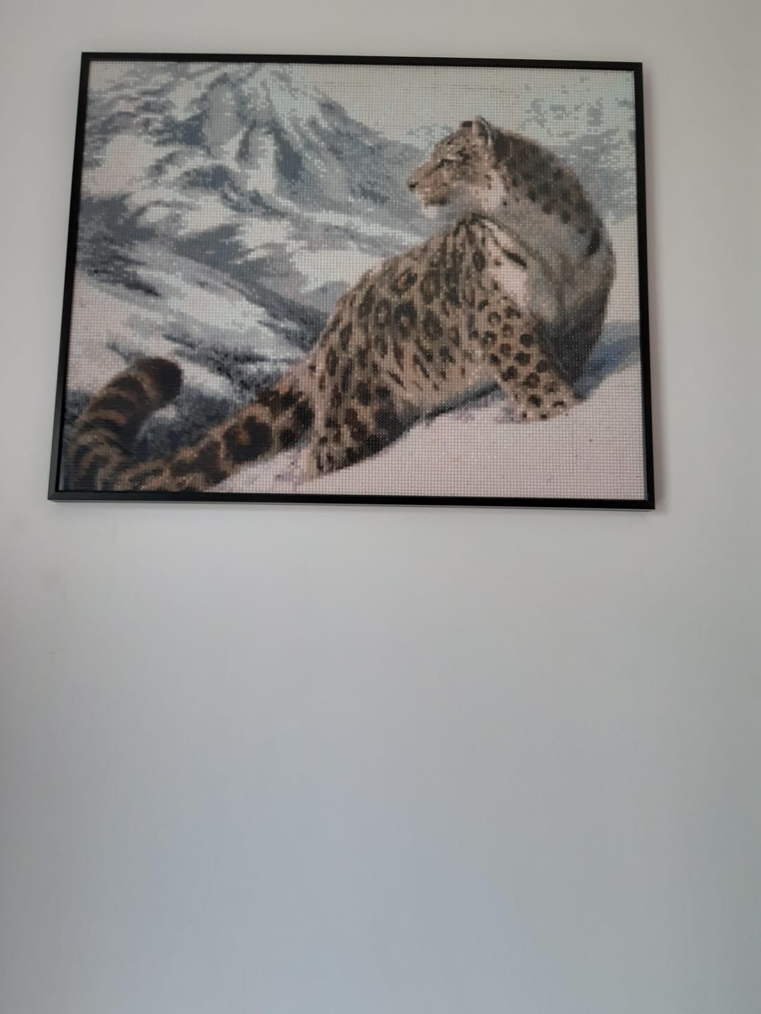 Customer photo review of Léopard des Neiges