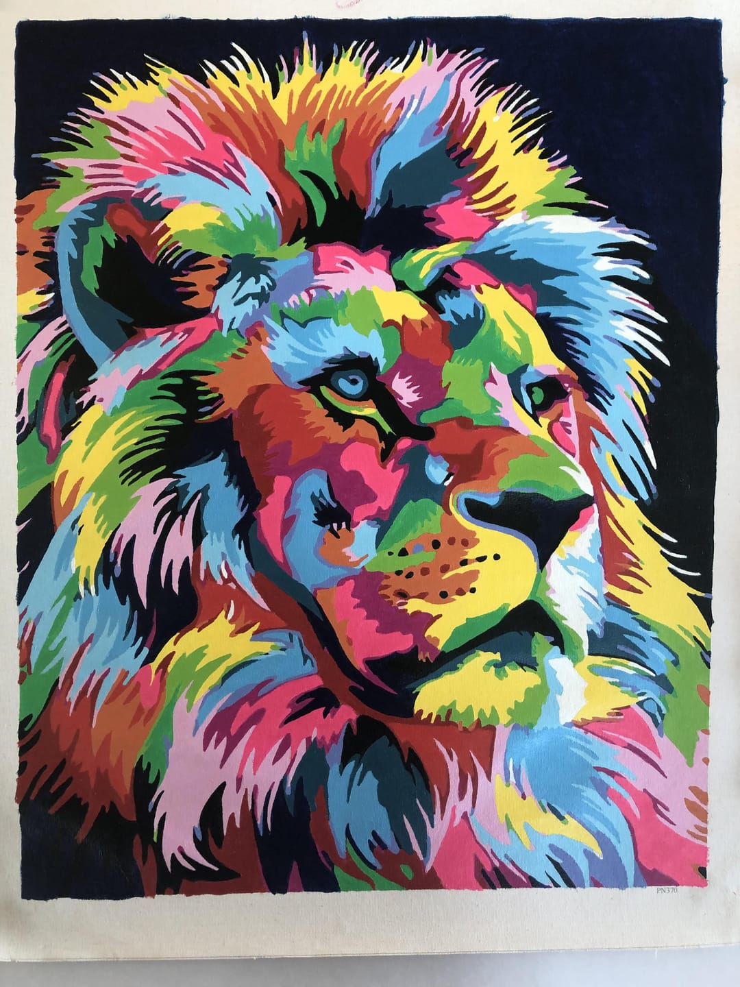 Customer photo review of Lion Pop Art 2
