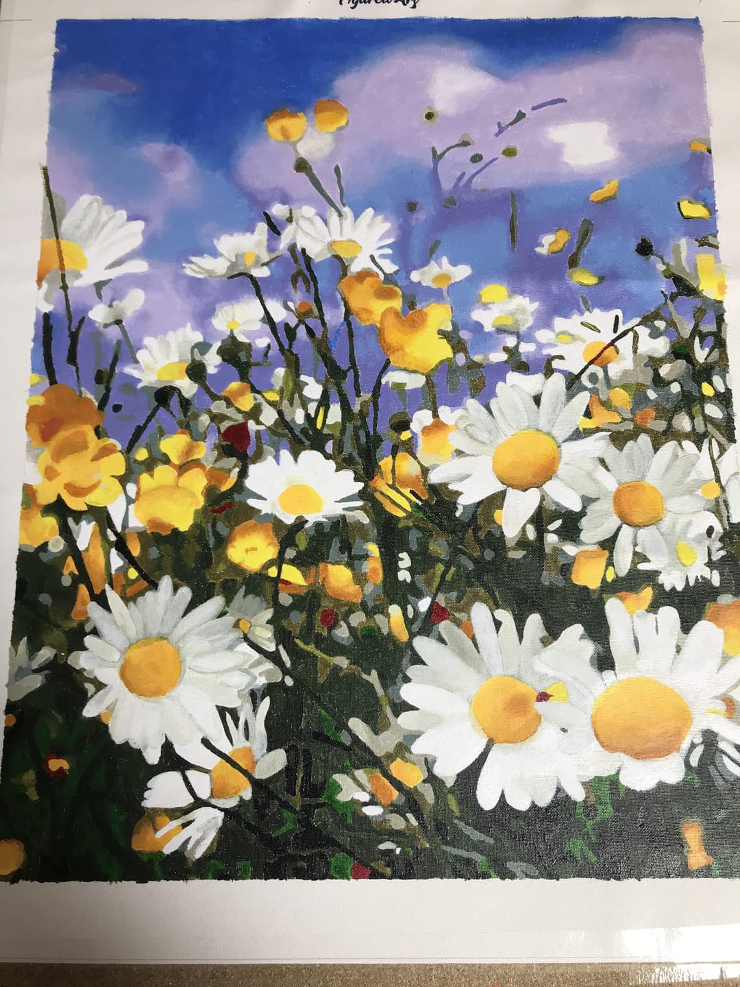 Customer photo review of Champs de Marguerites et Ciel bleu