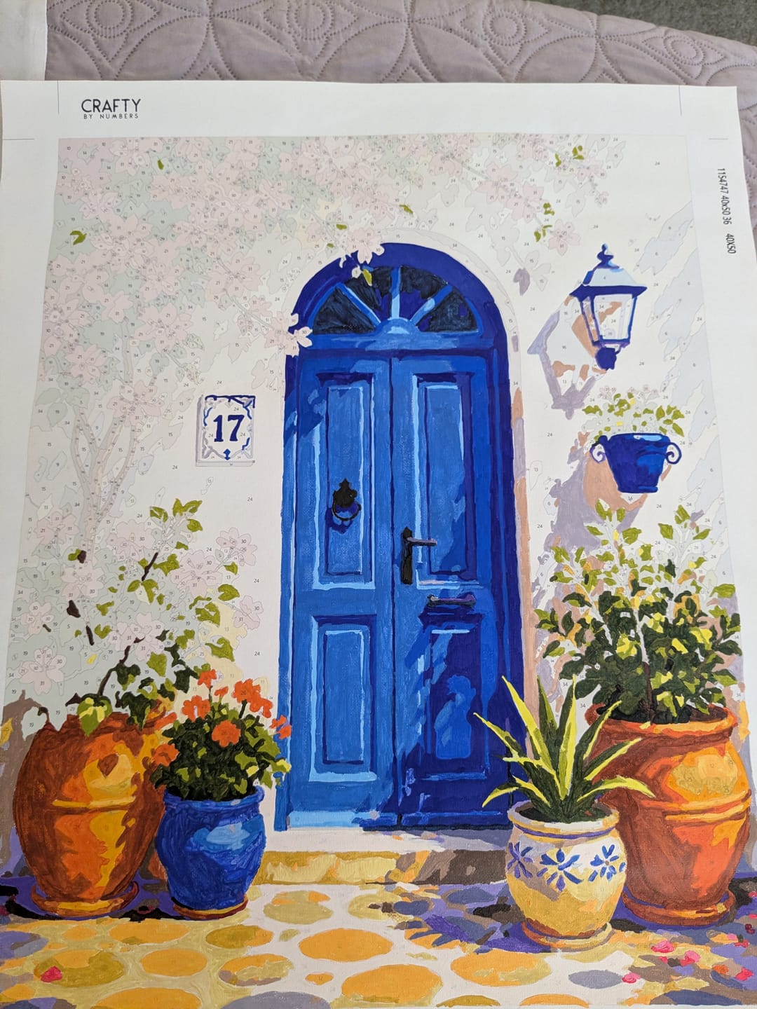 Customer photo review of Blue Mediterranean Door