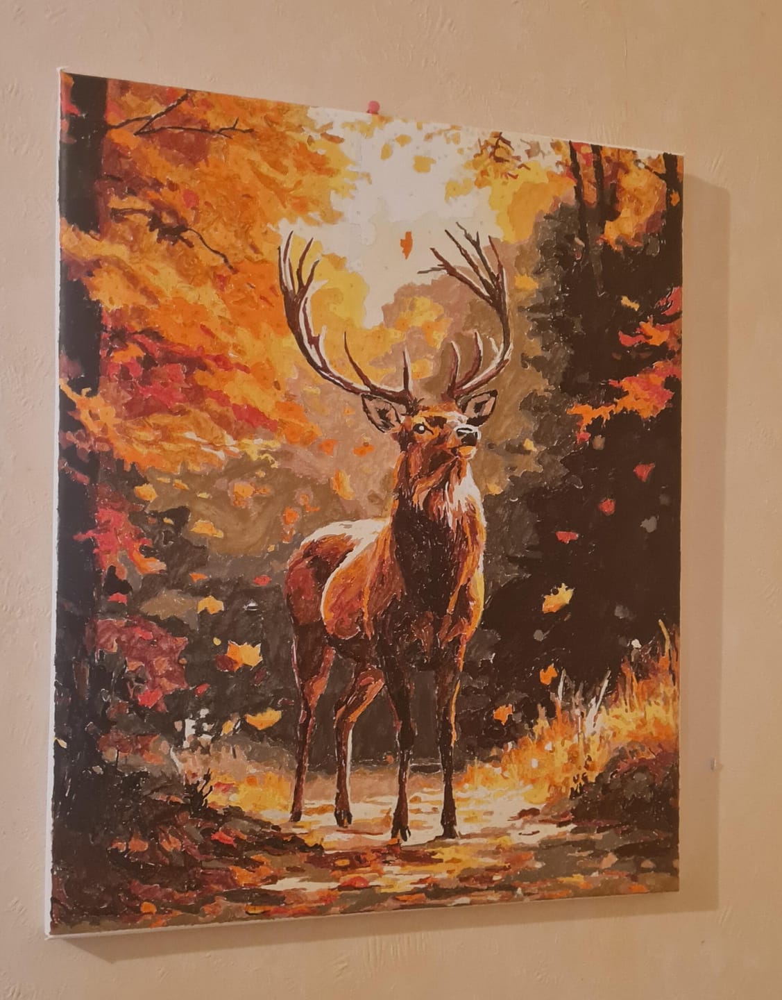 Customer photo review of Cerf majestueux en Automne