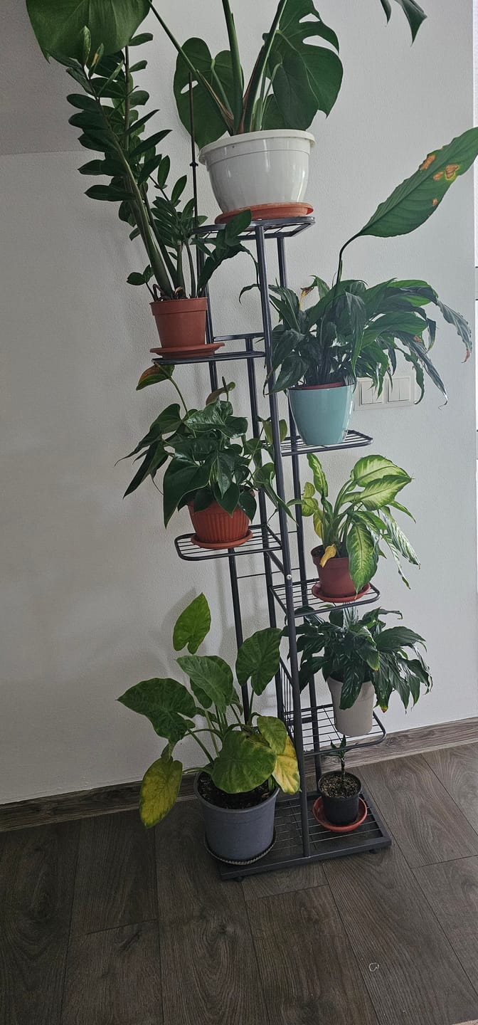 Customer photo review of Suport de flori BAMIR TIP 4, gri inchis, metal, 43.5x22x141 cm