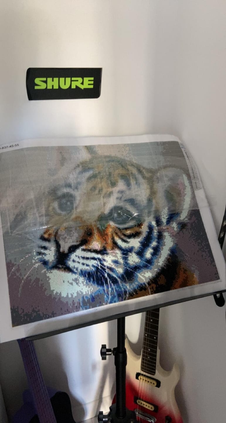 Customer photo review of Broderie Diamant - Bébé Tigre