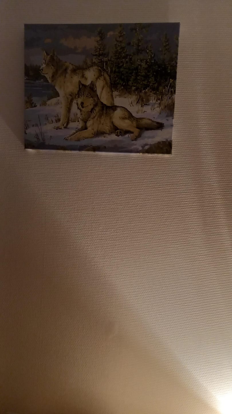 Customer photo review of Couple de Loups