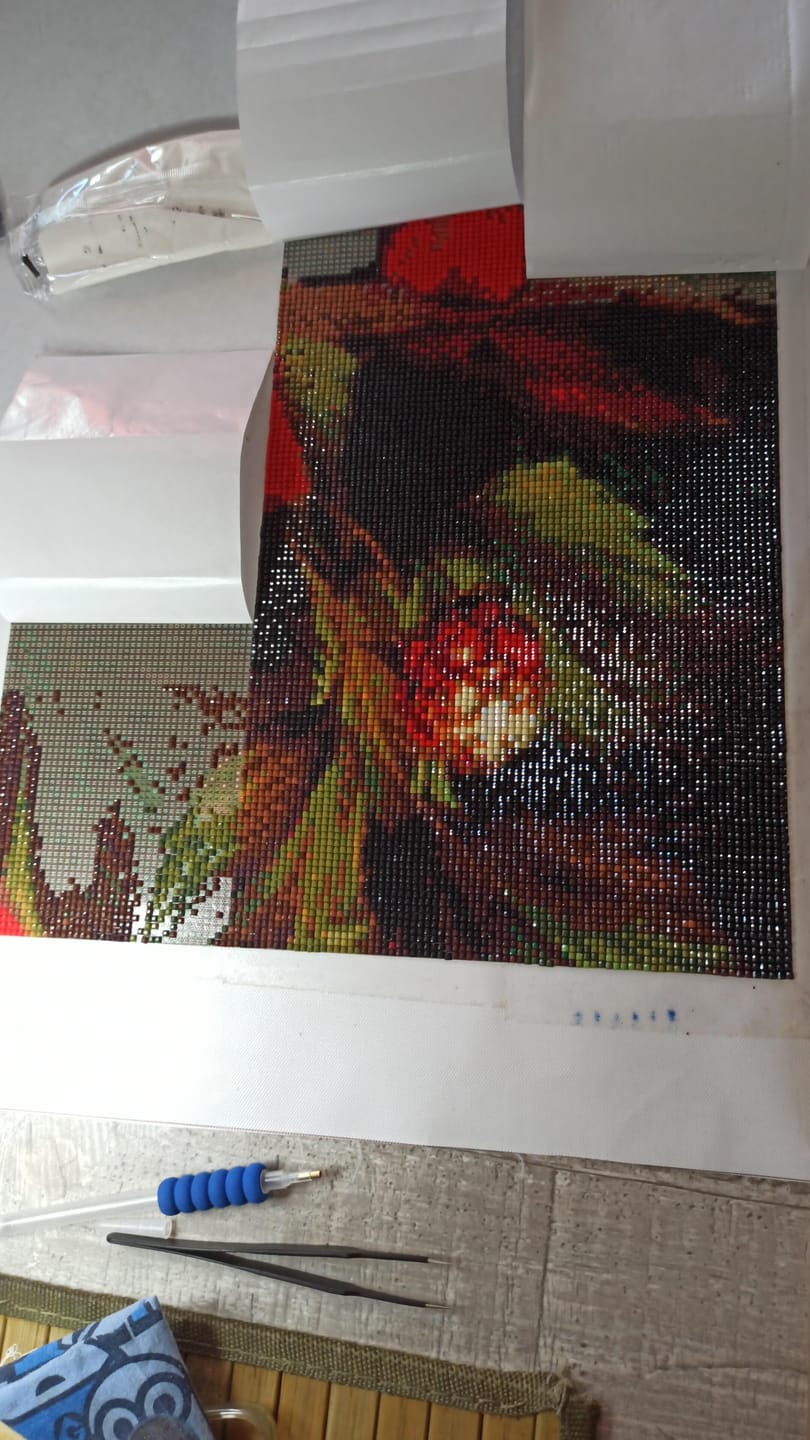 Customer photo review of Sachets de Diamants additionnels pour la Broderie Diamant