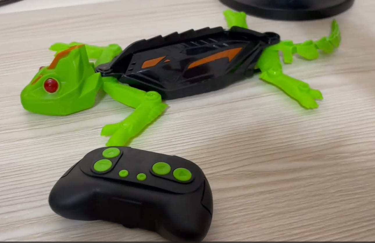 Customer photo review of TinyMini™ Uzaktan Kumandalı Duvar ve Tavana Tırmanabilen Kertenkele
