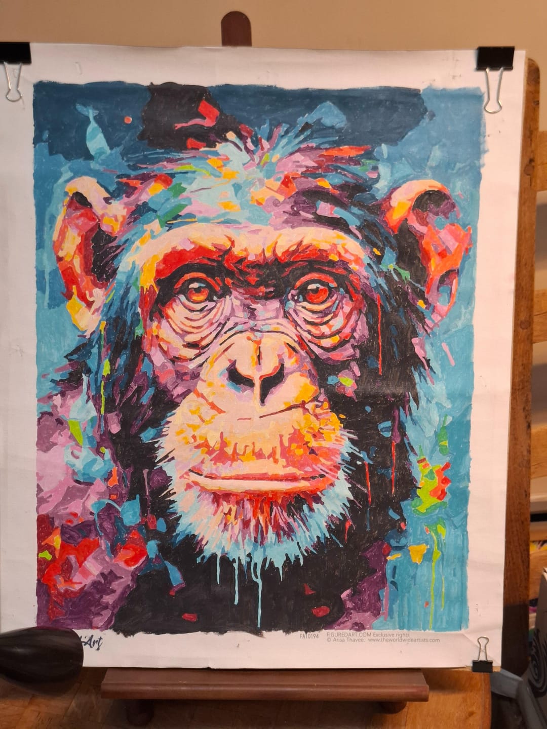 Customer photo review of Chimpanzé Coloré Abstrait