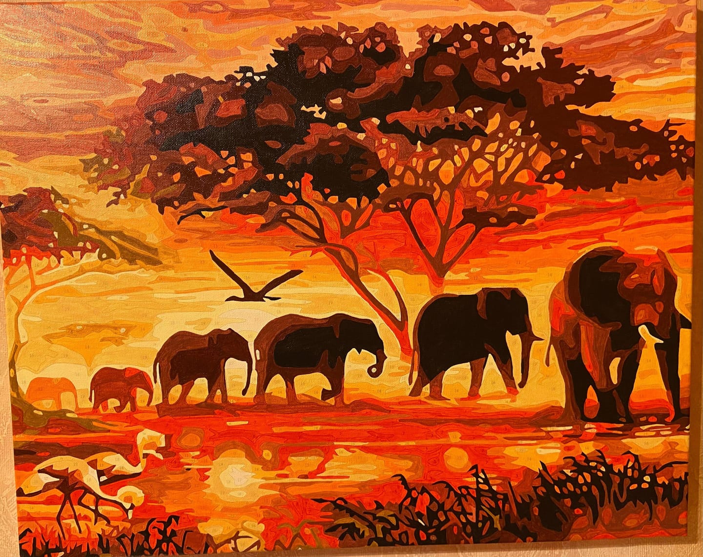 Customer photo review of Eléphants au Coucher du soleil