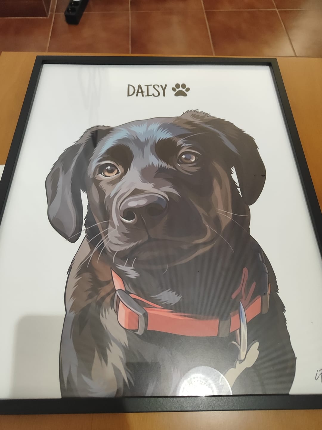 Customer photo review of Quadro Retrato Colorido (1 Animal)