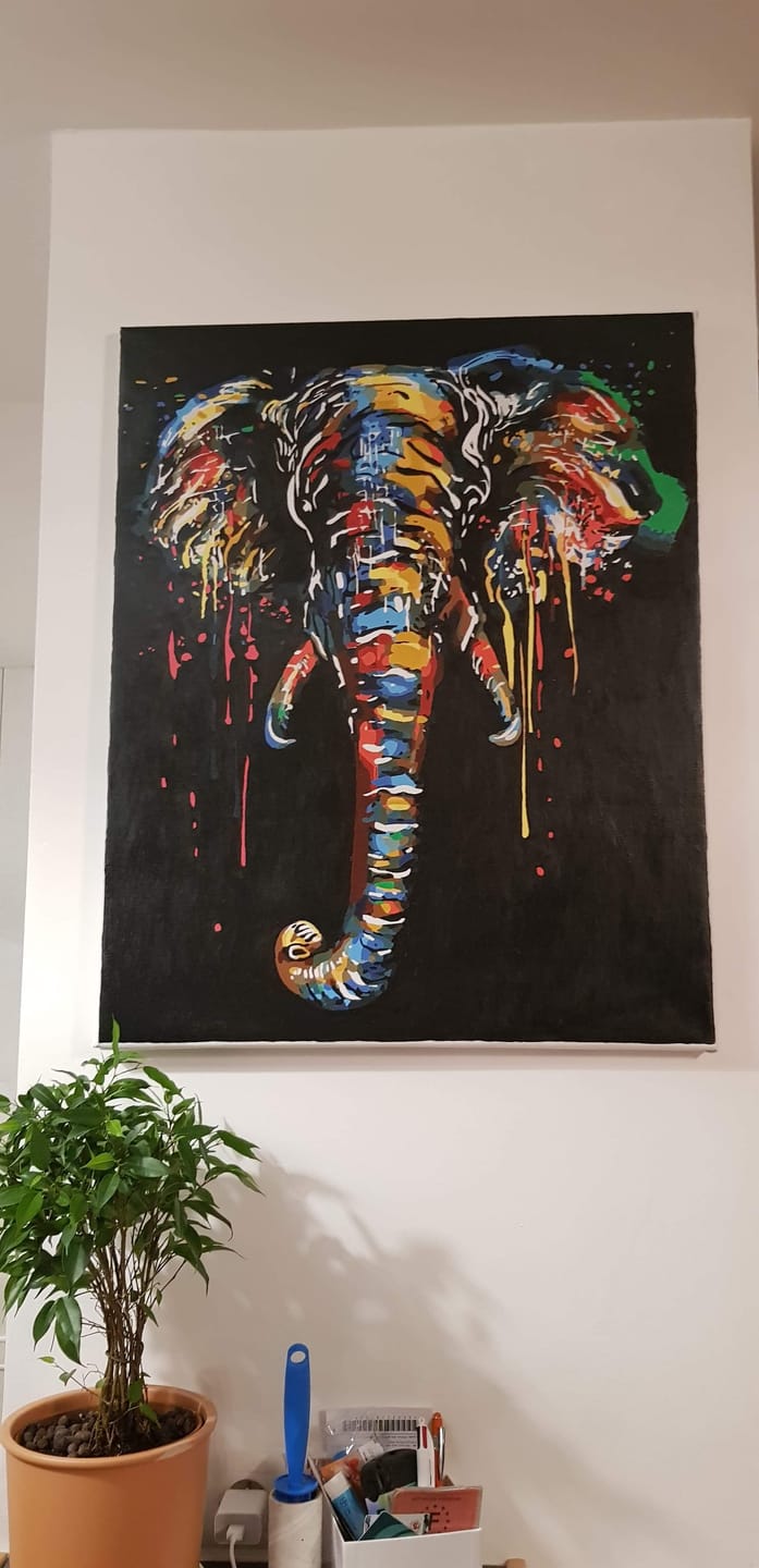 Customer photo review of Peinture Elephant
