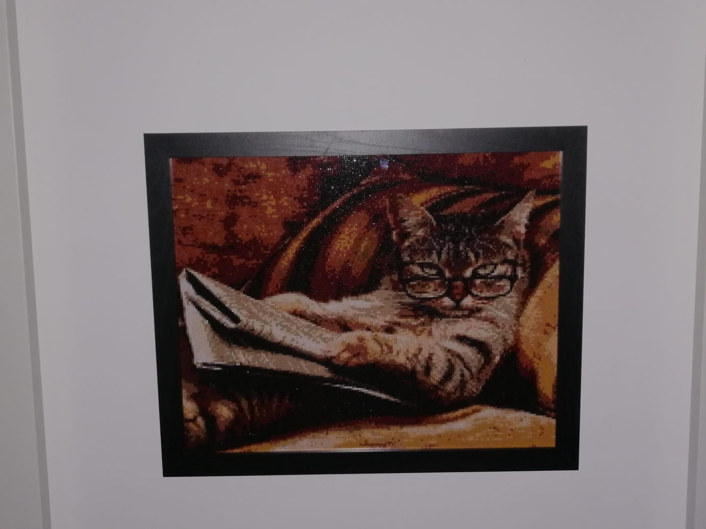 Customer photo review of Broderie Diamant - Le Chat connaisseur