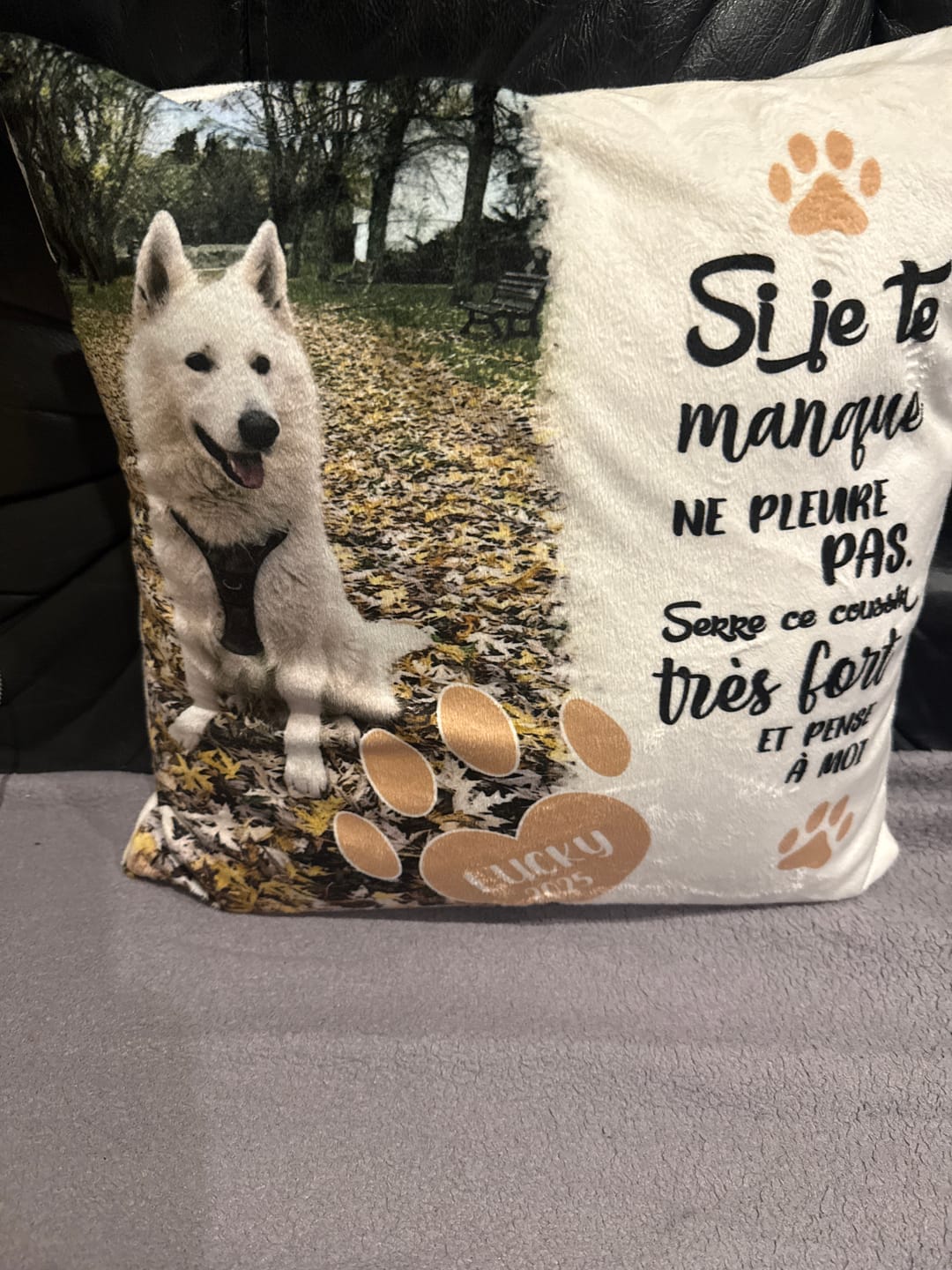 Customer photo review of Si je te manque - Coussin personnalisé