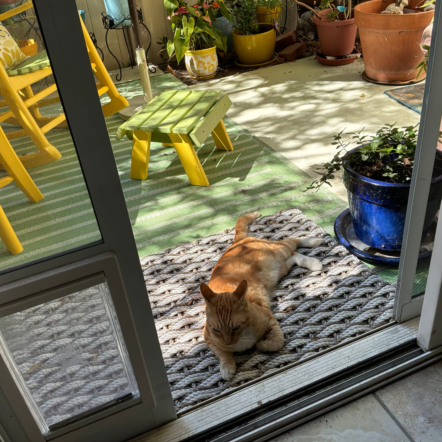 Customer photo review of Sand + Fog Gray + Oyster Doormat