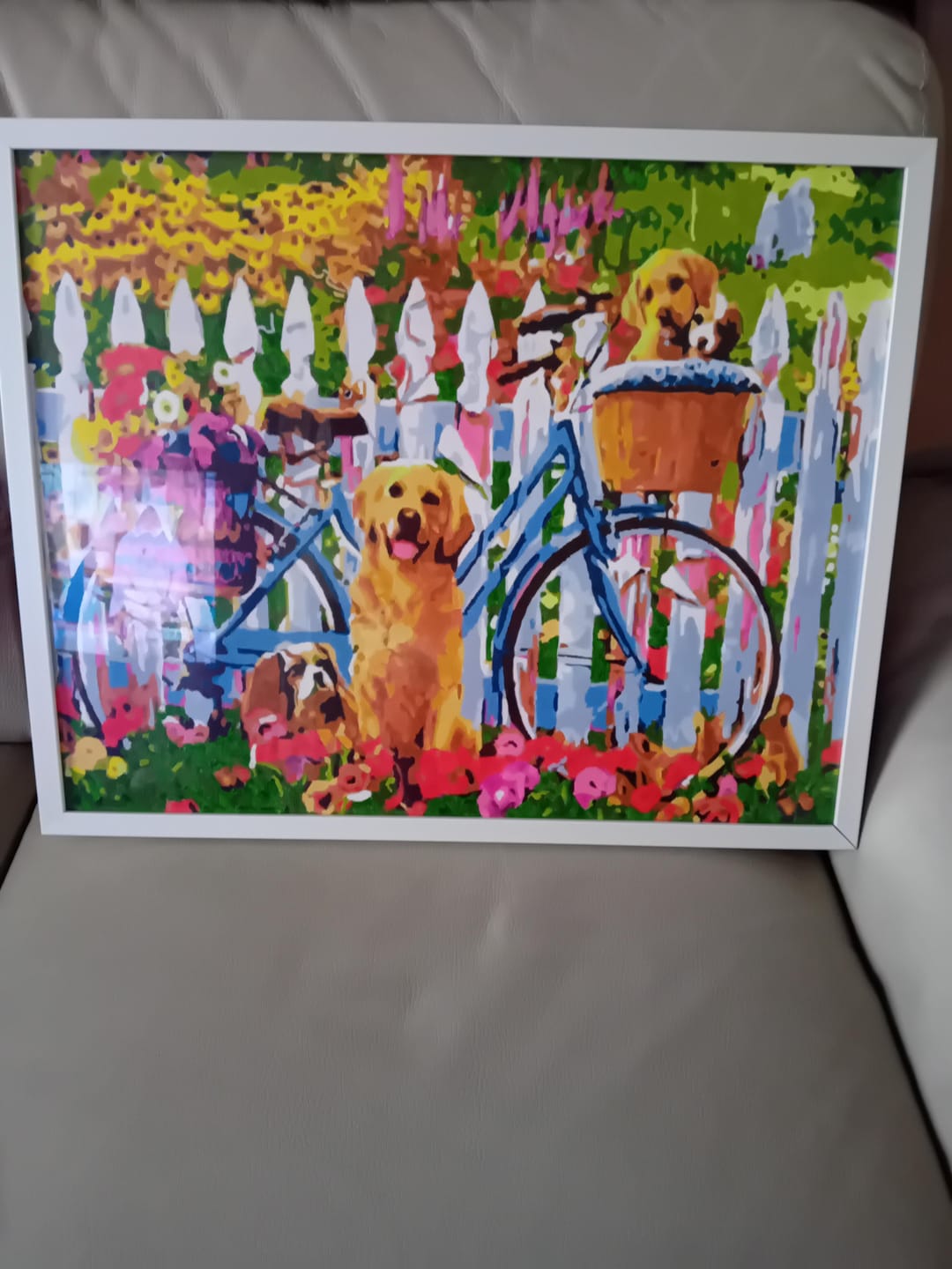 Customer photo review of Chiens et vélos