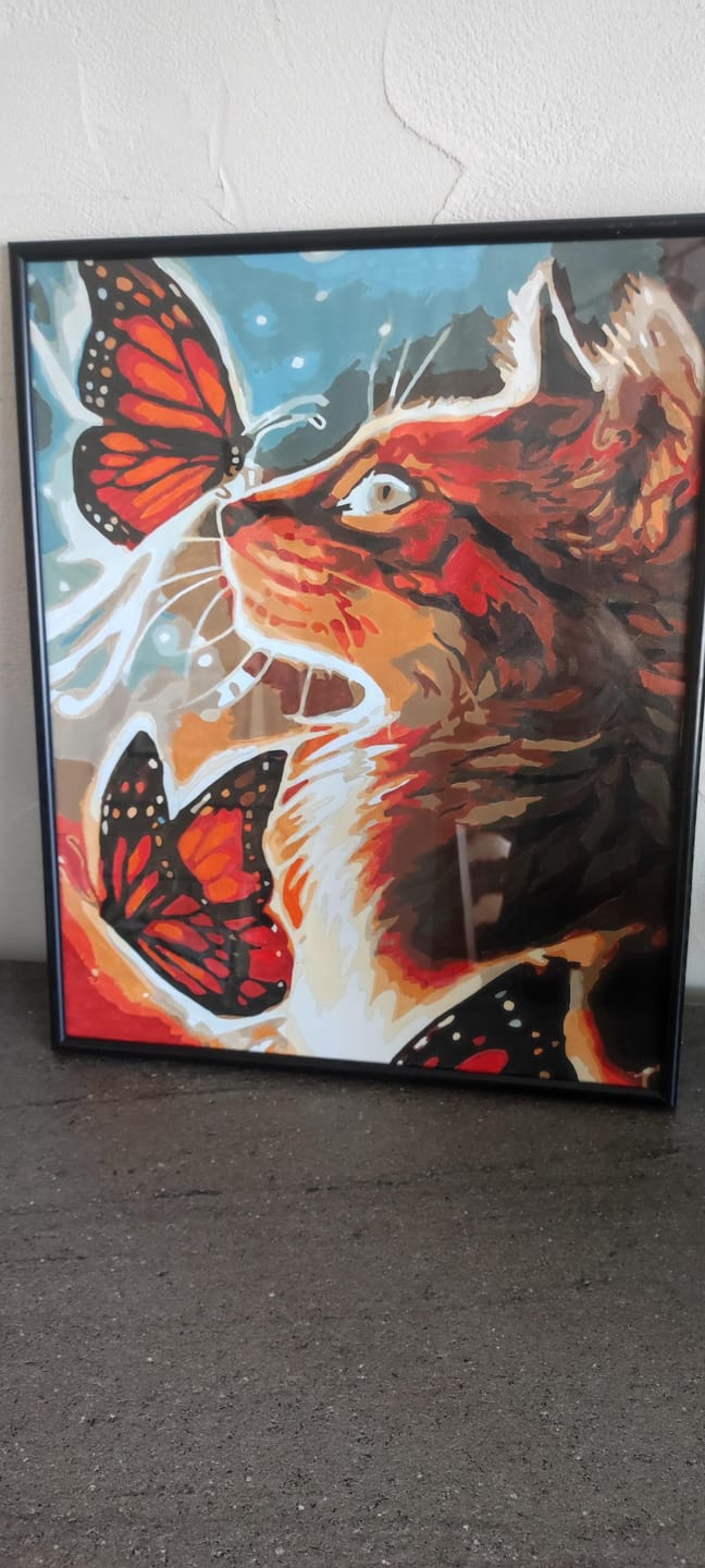 Customer photo review of Le Chat et les Papillons