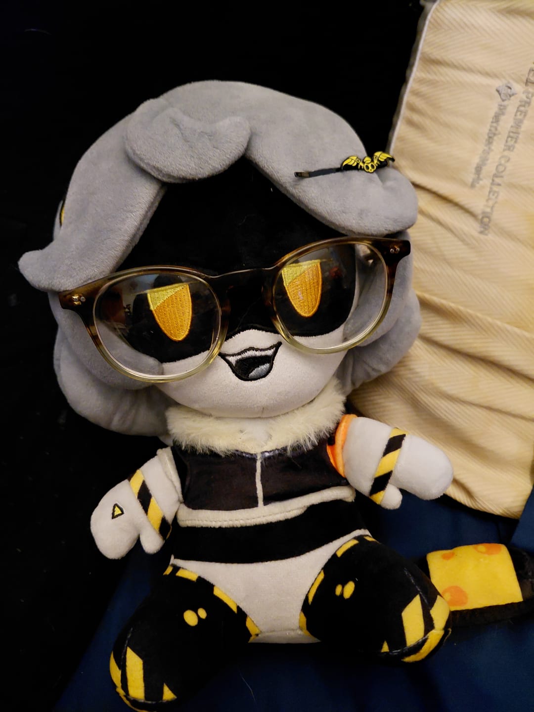 Customer photo review of V Plush