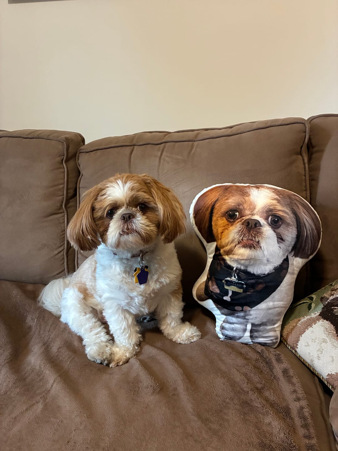 Customer photo review of Pet Pillow Looks Like Your Pet, Customize Dog Shaped Pillow with Pet Photo - ThePetPillow