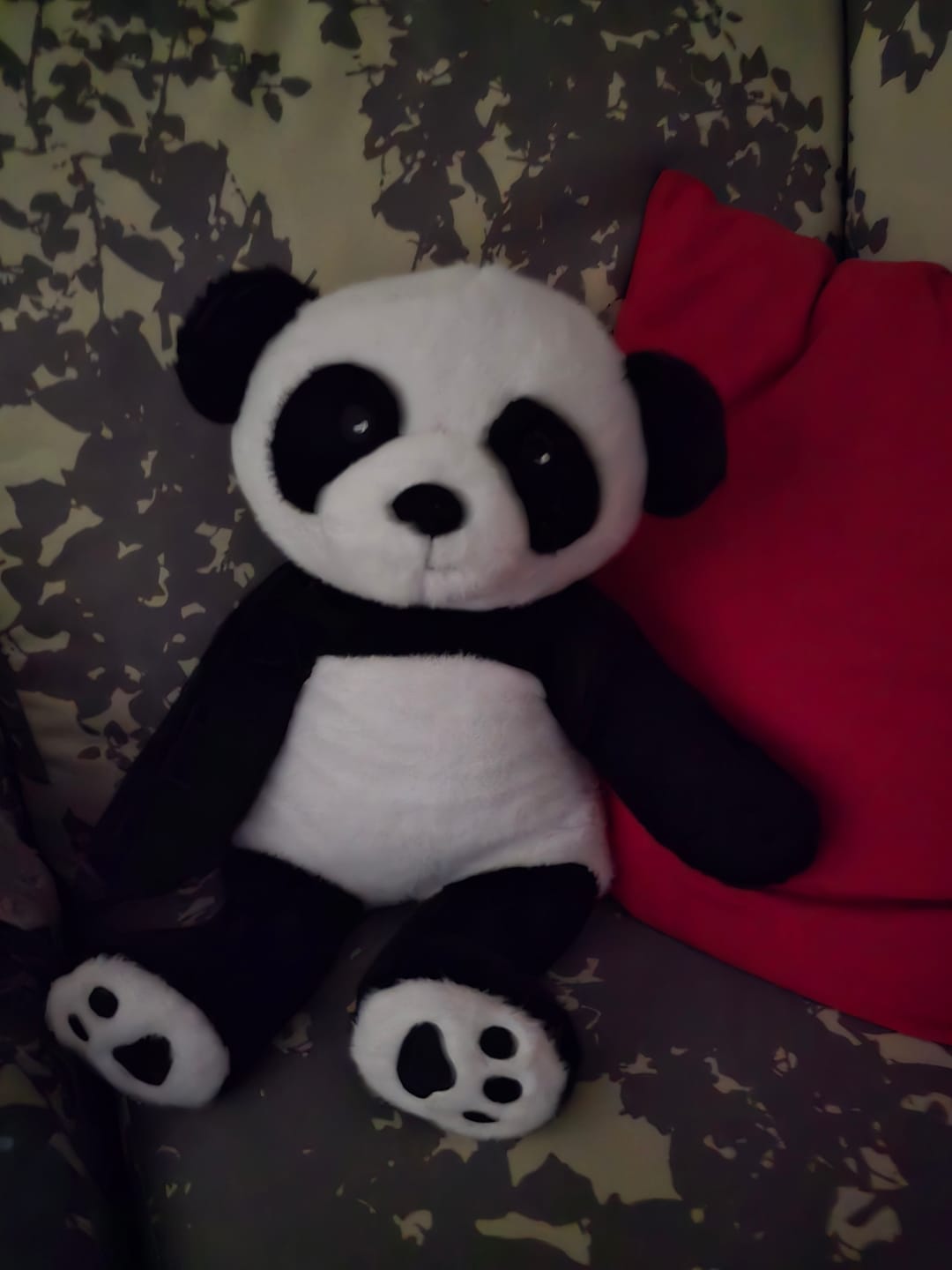 Customer photo review of Lotgenootje Panda 2kg