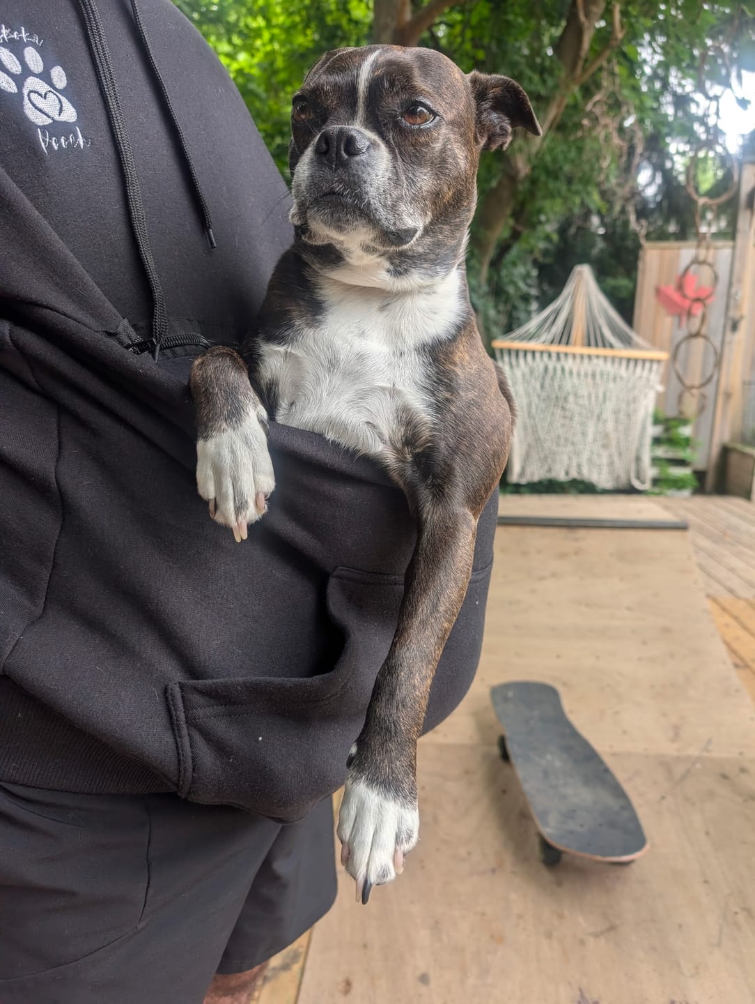 Customer photo review of Muskoka Pooch Adult Pet Hoodie