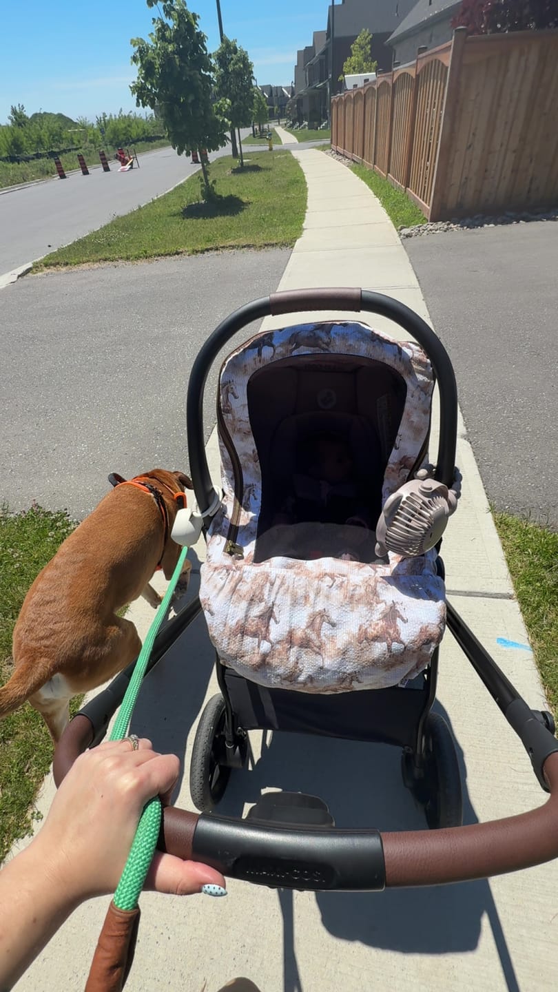 Customer photo review of Create - Summer Lite GlizCover™